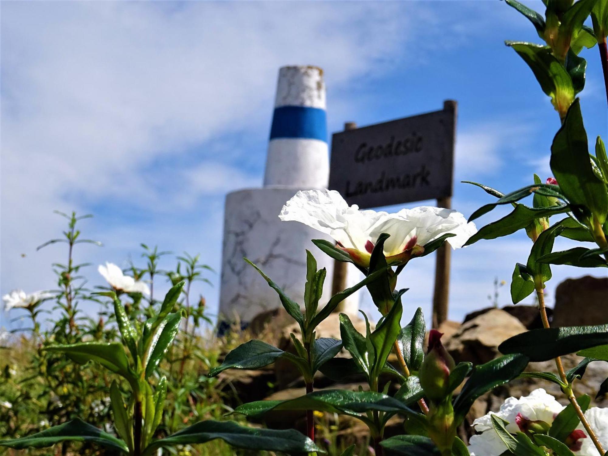 Monte Do Alento - Castro Da Cola ξενώνας Alcaria  Εξωτερικό φωτογραφία